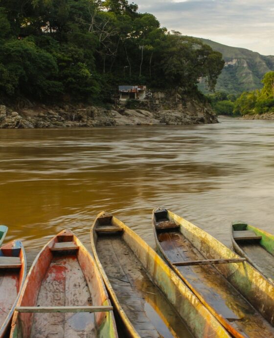 Montería | Seccionales | Anpica Colombia