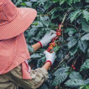 Anpica Colombia | Servicios para Pensionados | Colombia