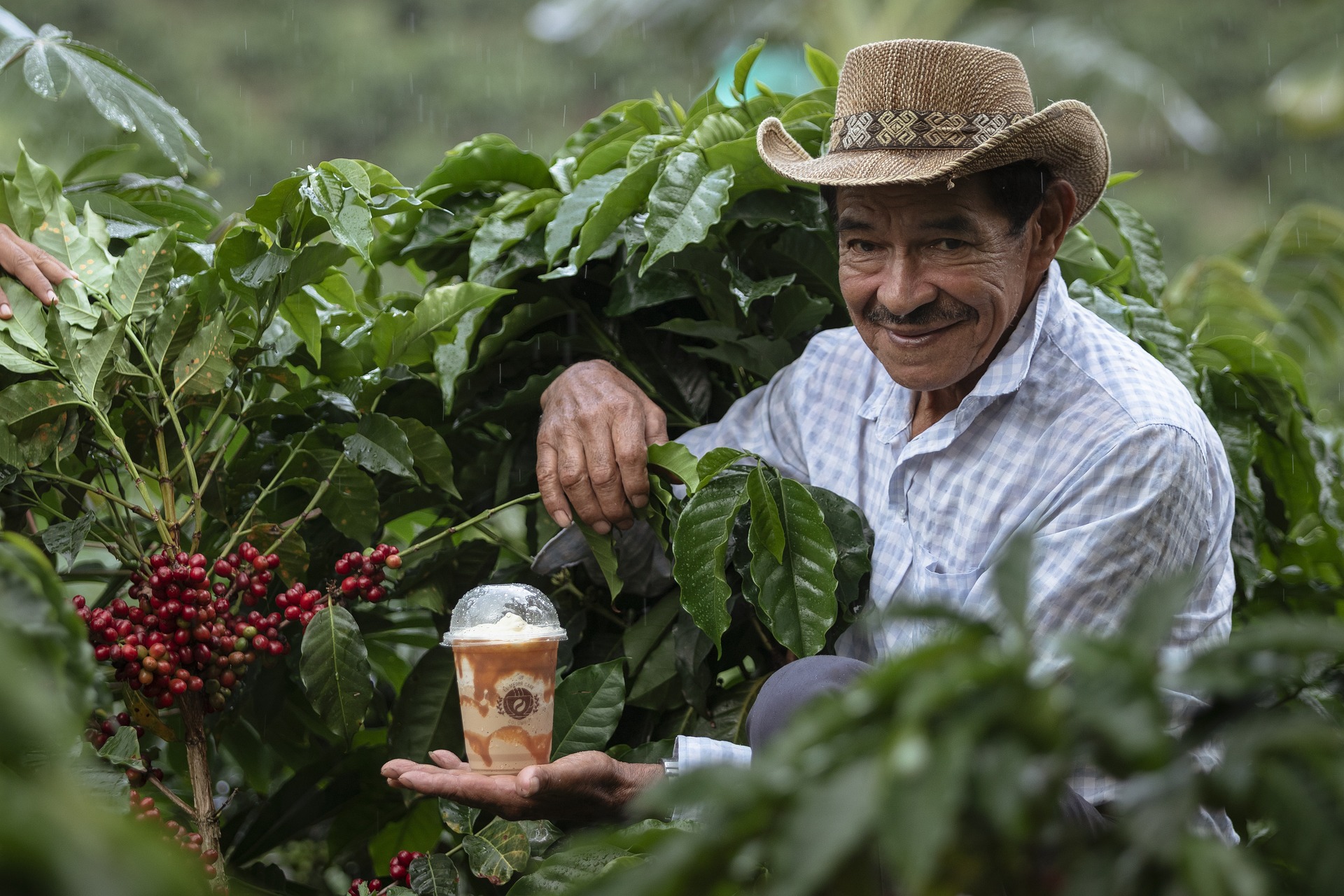 Bienestar Social | Servicios para Pensionados | Anpica Colombia